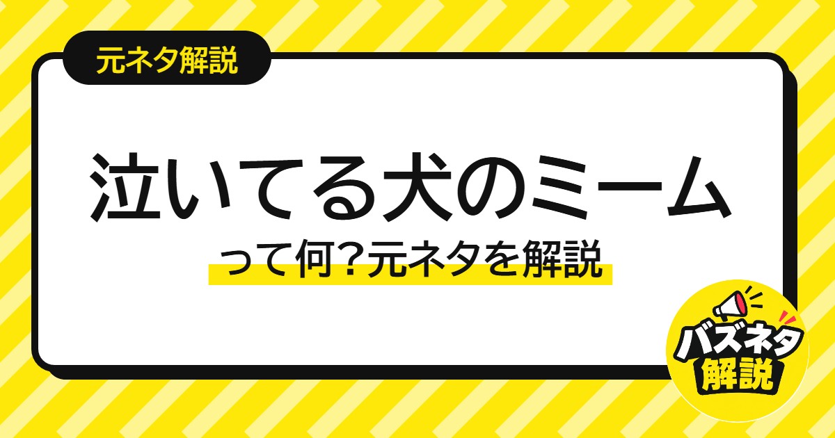 泣いてる犬のミーム 元ネタ解説